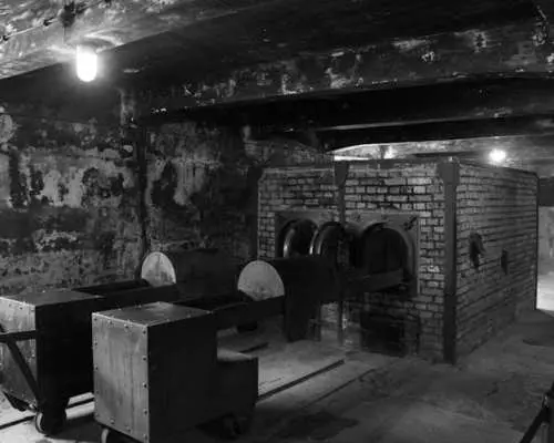 Entrance ticket and guided tour of Auschwitz-Birkenau