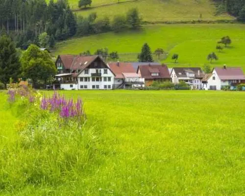 Baden Baden Visit and Black Forest Shared Tour
