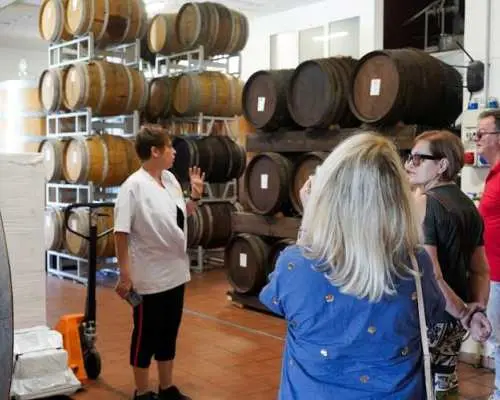 Vinegar cellar and winery tour with tastings and brunch from Bologna
