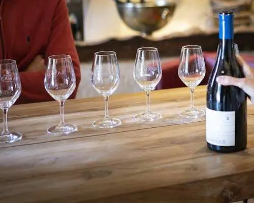 Small group tour of the wine châteaux in Montpellier