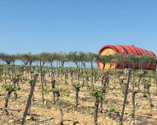 Small group tour of the wine châteaux in Montpellier
