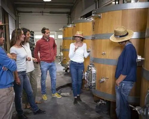 Small group tour of the wine châteaux in Montpellier