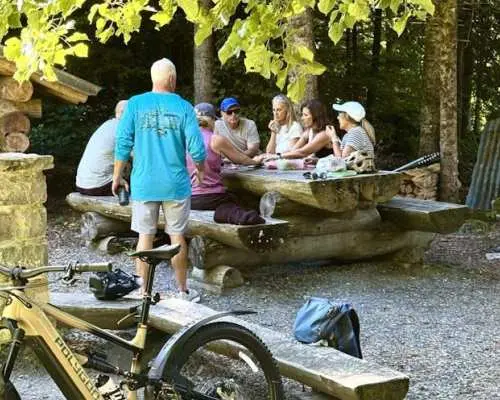 Half-day electric bike tour to Iseltwald and Giessbach