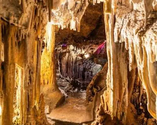 Majorca photographic sightseeing tour