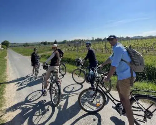 Saint-Emilion vineyards e-bike tour and wine tasting