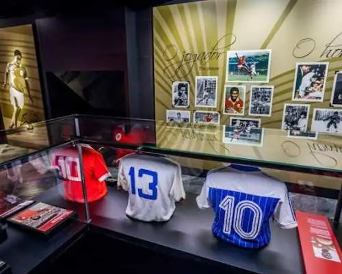 SL Benfica Stadium and Cosme Damião Museum tour with light meal