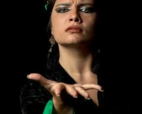 Traditional flamenco show in a brick cave in Madrid