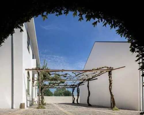Serralves All-Access Pass