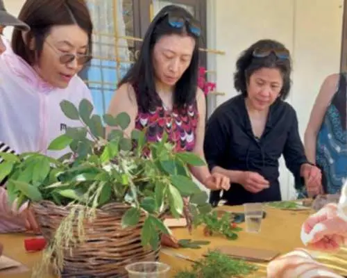 在诺托附近参加植物苦酒工作坊和猫薄荷利口酒品尝会