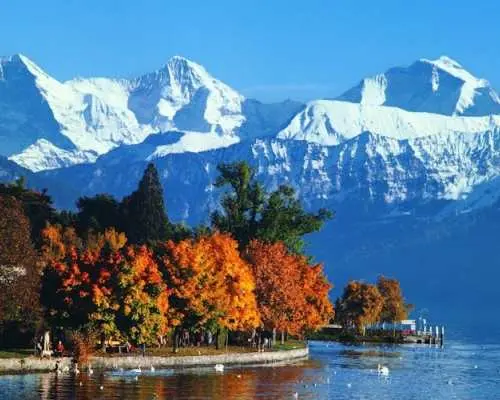 Full-day bus tour to Bernese Oberland and Interlaken from Zurich