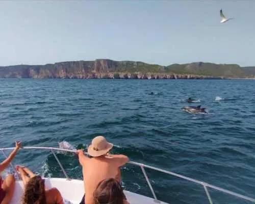Boat tour with dolphin watching in Sesimbra