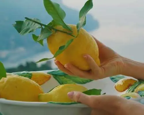 Limoncello factory tour and tasting in Amalfi's centre