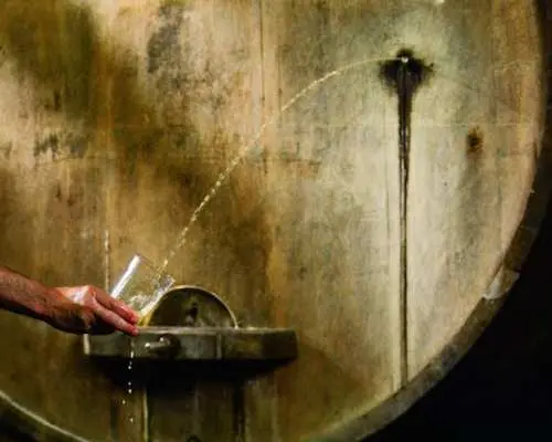 Cider house tour in San Sebastián