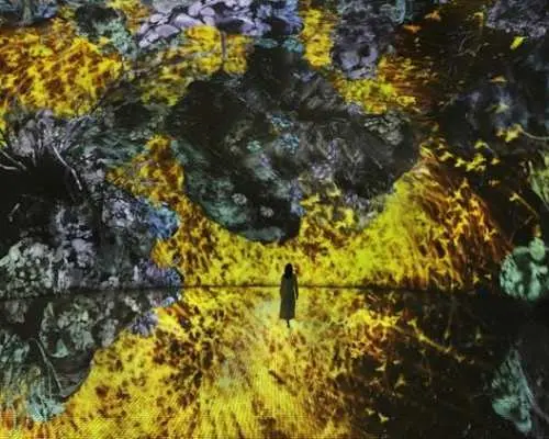 TeamLab Phenomena multisensory art experience Abu Dhabi tickets
