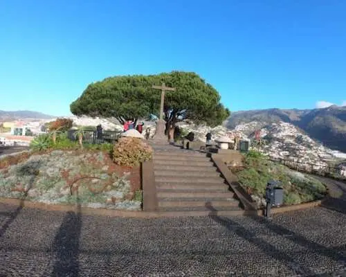 马德拉葡萄酒品尝与敞篷四驱车空中漫步全日游