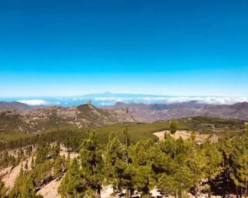 Personalised Private Tour of Gran Canaria in Minivan