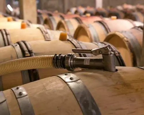 Côte de Nuits half-day wine tour with tastings from Dijon