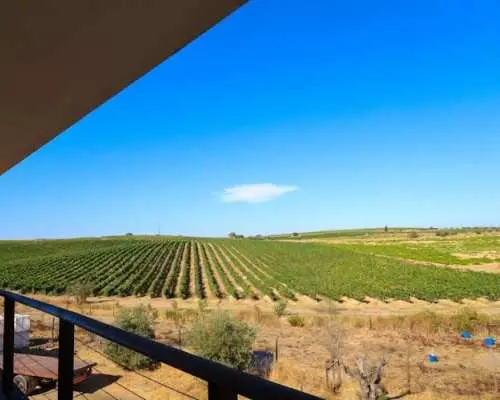 Small group tour to Évora and Alentejo wine region from Lisbon