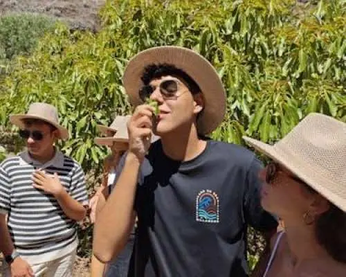 Hands-on experience at an avocado farm with local menu and wine