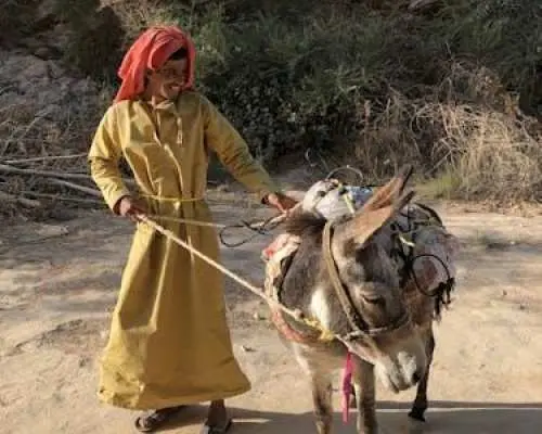 Wadi Shab and Bimmah Sinkhole private full-day tour