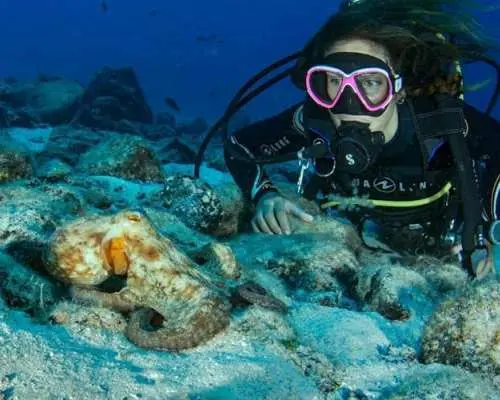 Scuba Diving for Qualified Divers in Corralejo