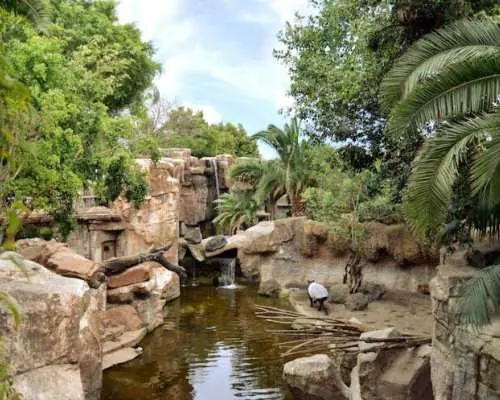Bioparc Fuengirola