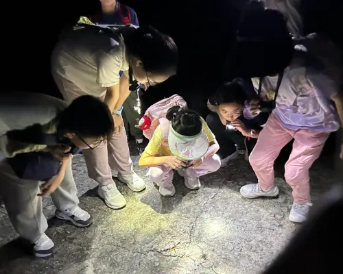 [Summer Limited Time Offer] Summer Camp for Mountain and Sea Experiences | Ages 5-12 with Certificate | Independent Camping | Professional Coaching Throughout | Enjoy Mountain and Sea Activities, Firefly Night Exploration