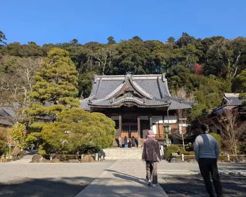 靜岡伊豆一日遊｜修禪寺竹林小徑＆沼津港海鮮市場＆長腳蟹盛宴＆鮮採柑橘吃到飽｜東京新宿出發