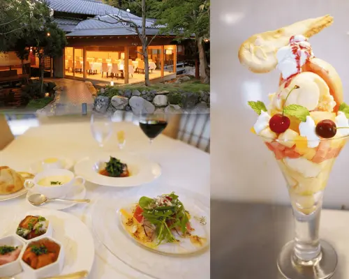 Fukuoka Summer Fruit Experience: French Lunch & Fruit Picking Bus Tour from Hakata