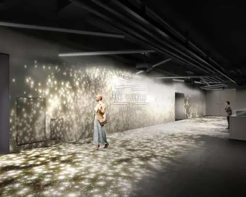 東京有明｜RÊVE DES LUMIÈRES光之夢藝術展
