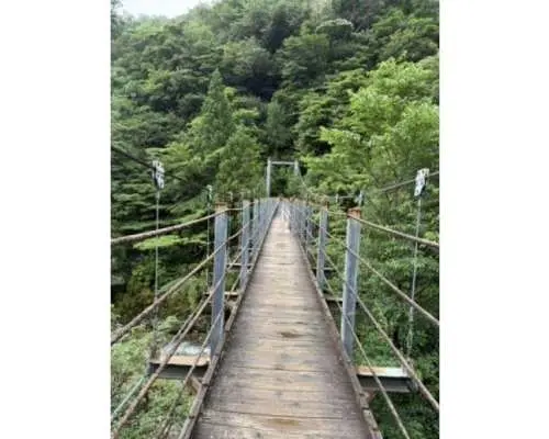 【鹿児島・屋久島】白谷雲水峡1〜2名限定の贅沢貸切ツアー！選べる3つのスタート時間×「苔むす森」ショートトレッキング（一湊・宮之