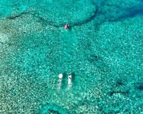 【恩納村発】「絶景2ヶ所シュノーケリング＋神秘的な珊瑚群落へ」長く沢山遊びたい方に大人気！ドローン＆水中撮影無料★SUPや飛び込み台も無料♪