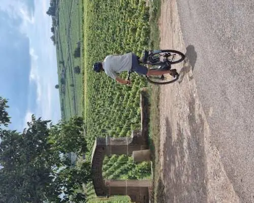 勃根地伯恩丘自行車與葡萄酒一日遊