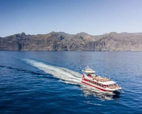 Three-hour Royal Delfín Whale & Dolphin Watching Cruise