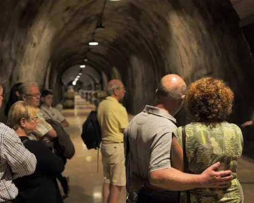 Valpolicella experience, wine and lunch guided tour from Lake Garda