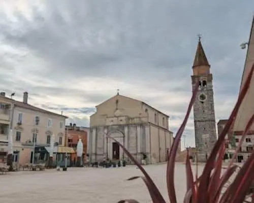 Full-day Umag and Rovinj guided tour from Trieste