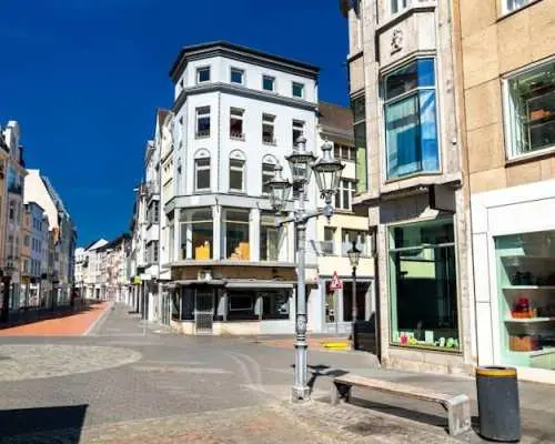 Bonn 2-hour city walking tour with a local