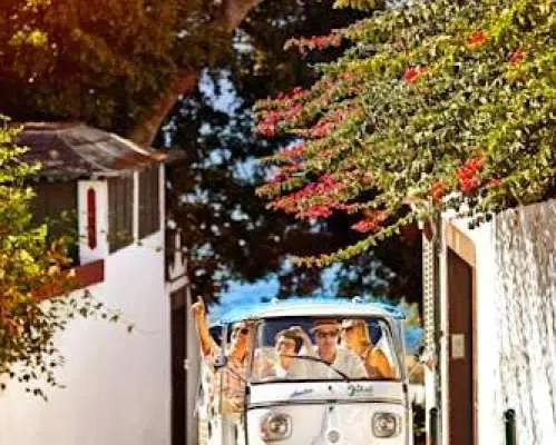 Madeira tailored tuk-tuk taxi tour from Funchal six hours