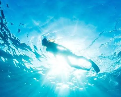 Snorkeling tour in Salalah