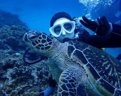 世界中で潜れる国際カード【PADI・CMAS・NAUIその他】ダイビングライセンスが格安の8,800円から！のコピー