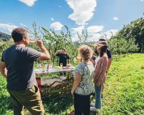Basque cider house small group tour with lunch from San Sebastián