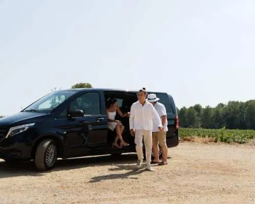 Small-group wine tour of Provence from Nice