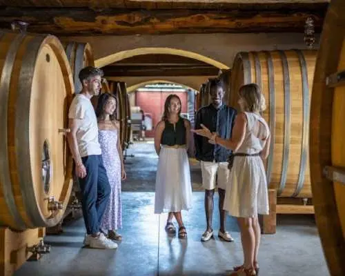 Small-group wine tour of Provence from Nice