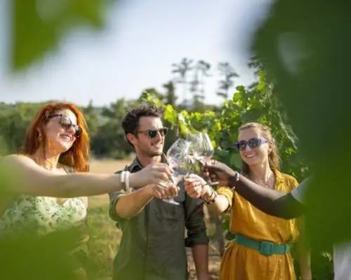Small-group wine tour of Provence from Nice