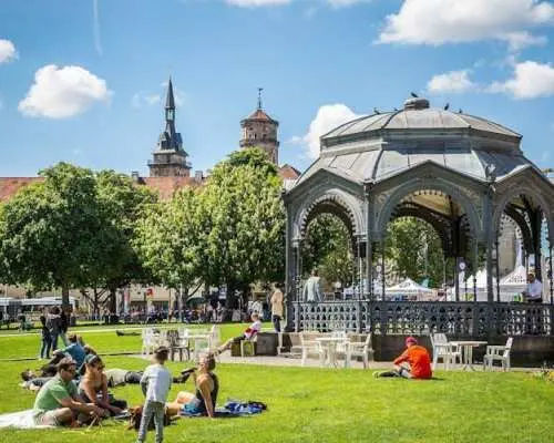 Explore Stuttgart's art and culture with a local