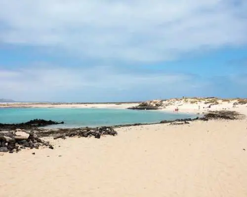 Lobos Island return tickets with Celia Cruz and Isla de Lobos ferries