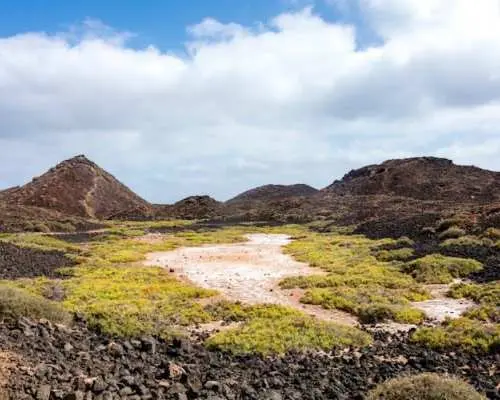 Lobos Island return tickets with Celia Cruz and Isla de Lobos ferries