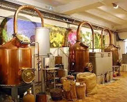 West Coast and Countryside full-day shared excursion from Nice