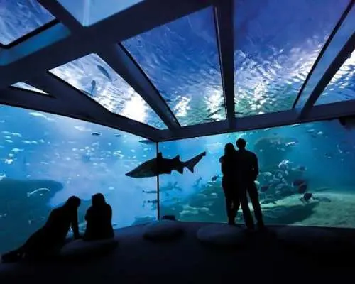 Palma Aquarium ticket