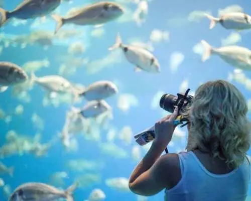 Palma Aquarium ticket